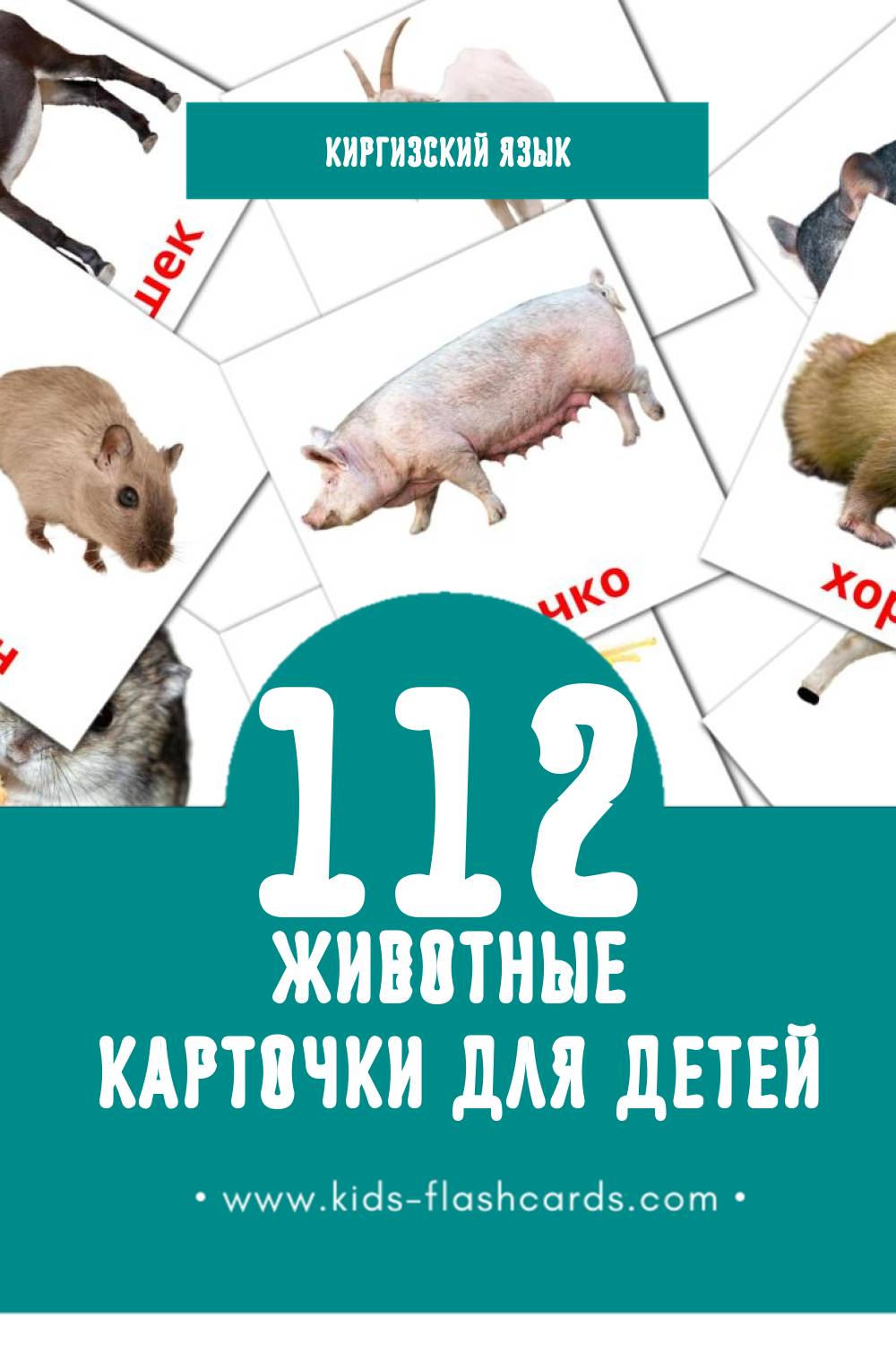 "Жаныбарлар" - Визуальный Киргизском Словарь для Малышей (15 картинок)
