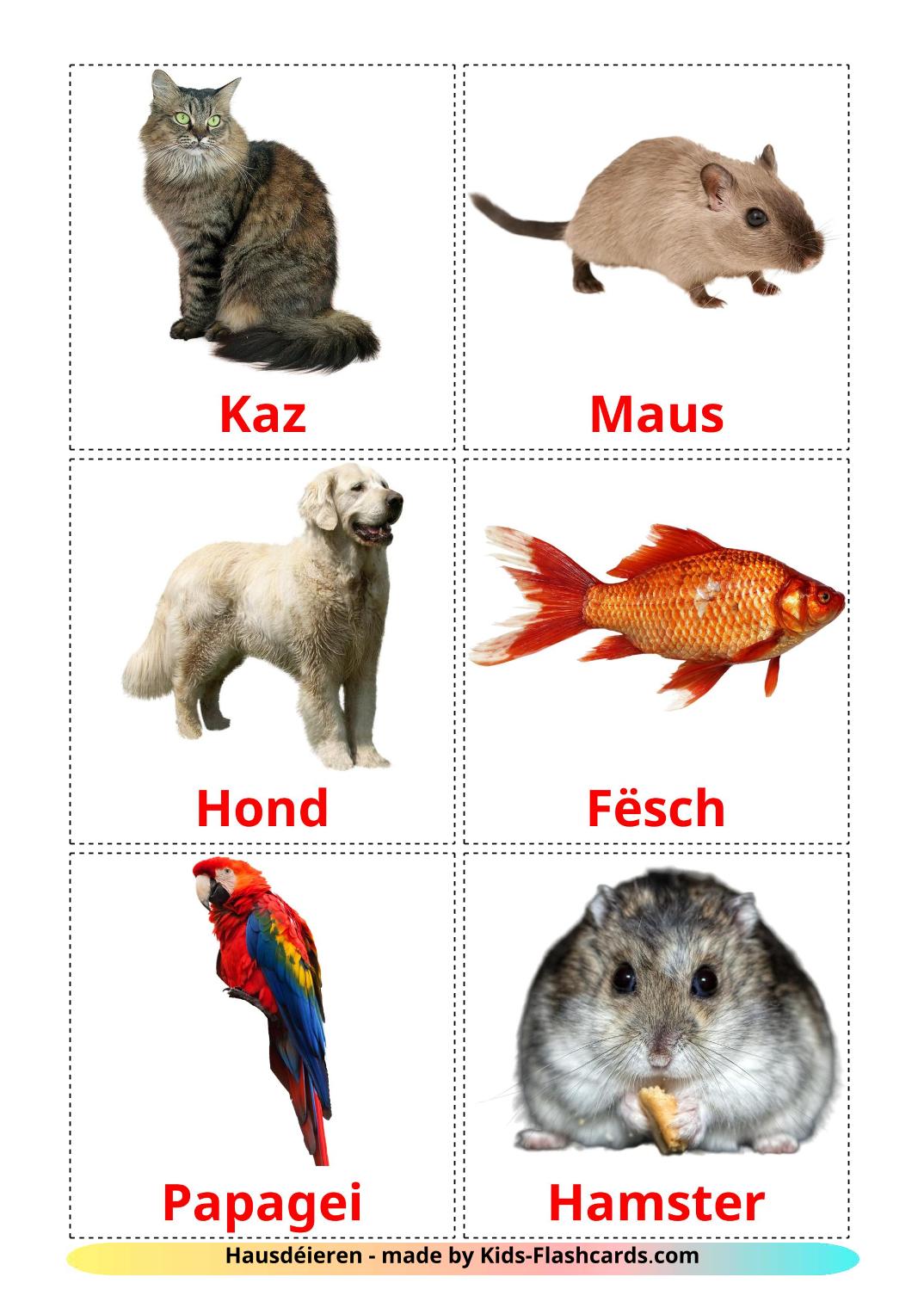 Domestic animals - 10 Free Printable luxembourgish Flashcards 