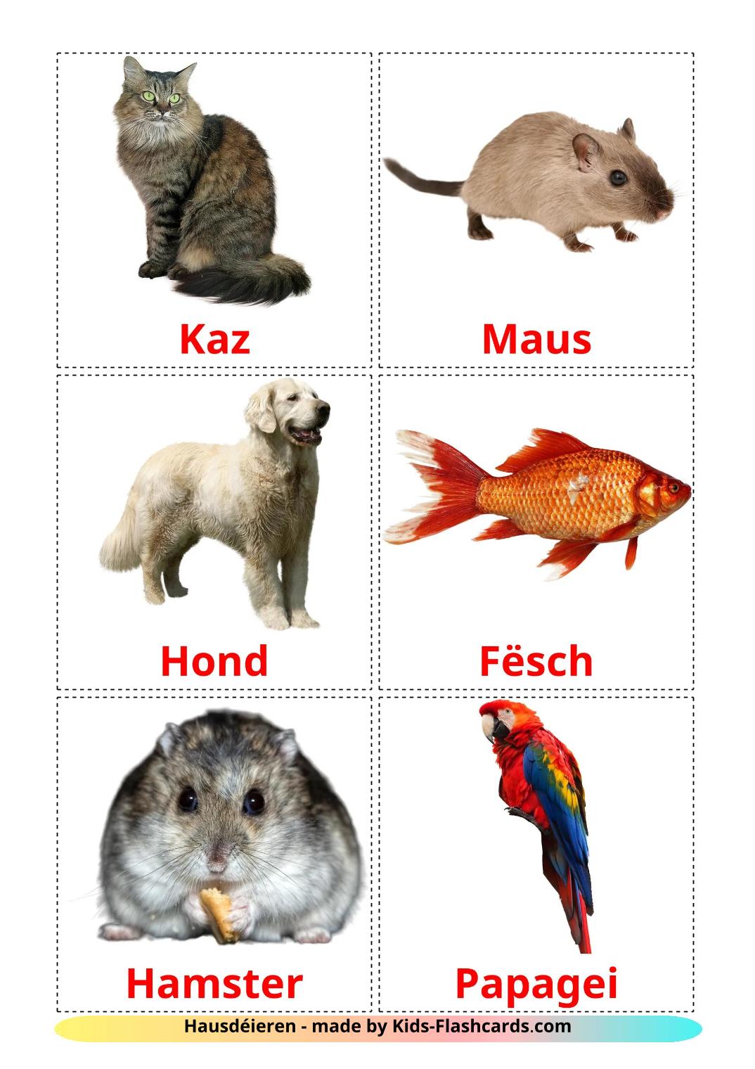 Animali Domestici - 11 flashcards lussemburghese stampabili gratuitamente