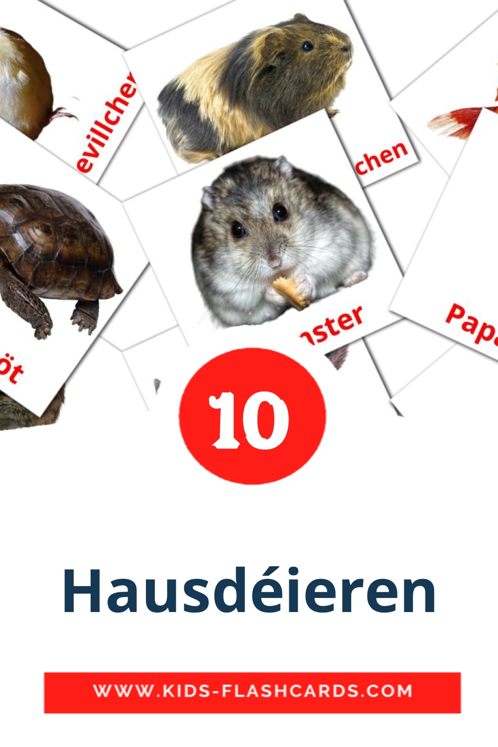 10 Hausdéieren fotokaarten voor kleuters in het luxemburgs