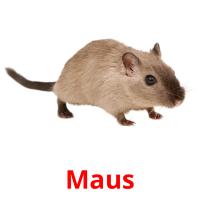 Maus picture flashcards