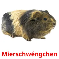 Mierschwéngchen flashcards illustrate