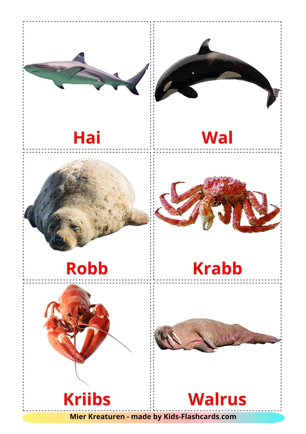 Sea animals - 30 Free Printable slovensk Flashcards