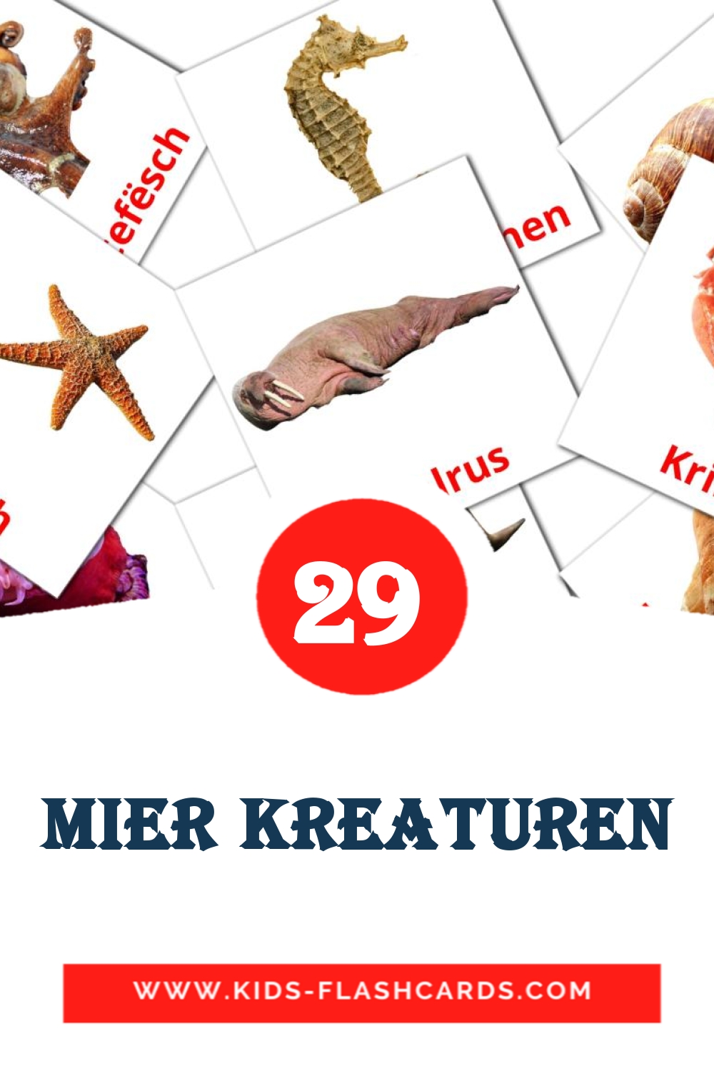 29 carte illustrate di Mier Kreaturen per la scuola materna in lussemburghese