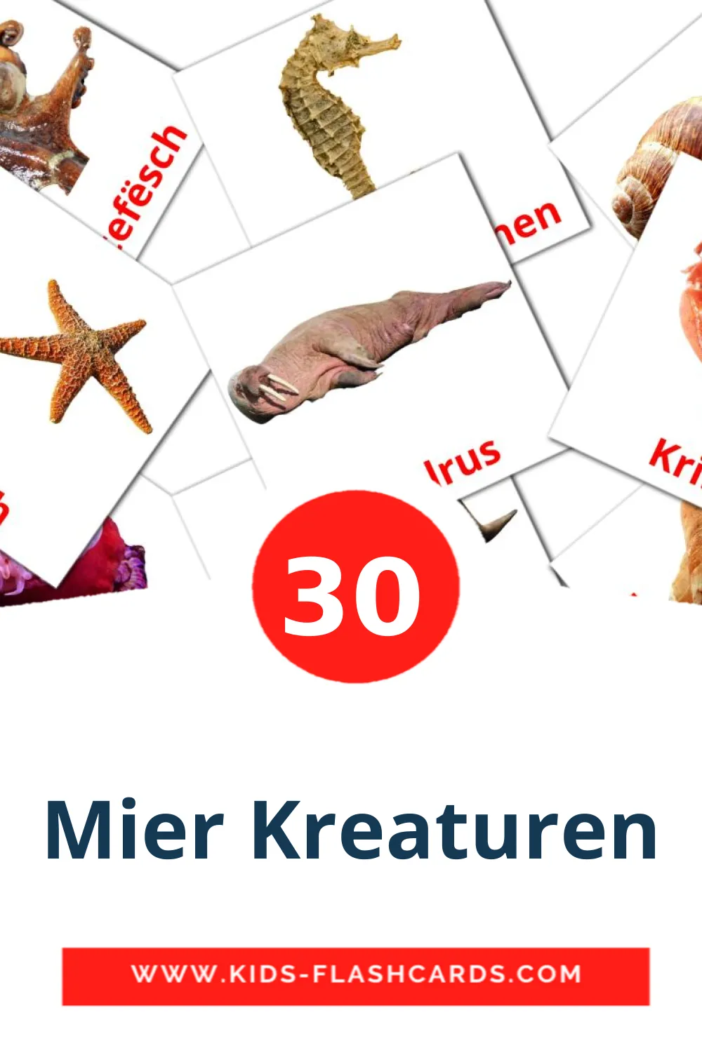 30 Mier Kreaturen Picture Cards for Kindergarden in slovensk