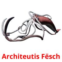 Architeutis Fësch flashcards illustrate