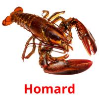 Homard flashcards illustrate