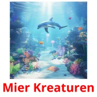 Mier Kreaturen picture flashcards