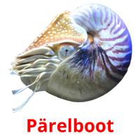 Pärelboot flashcards illustrate