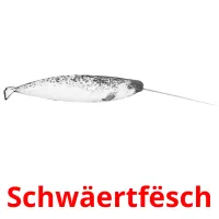 Schwäertfësch picture flashcards