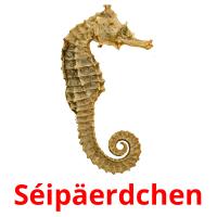 Séipäerdchen flashcards illustrate