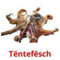 Tëntefësch flashcards illustrate