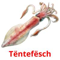 Tëntefësch flashcards illustrate