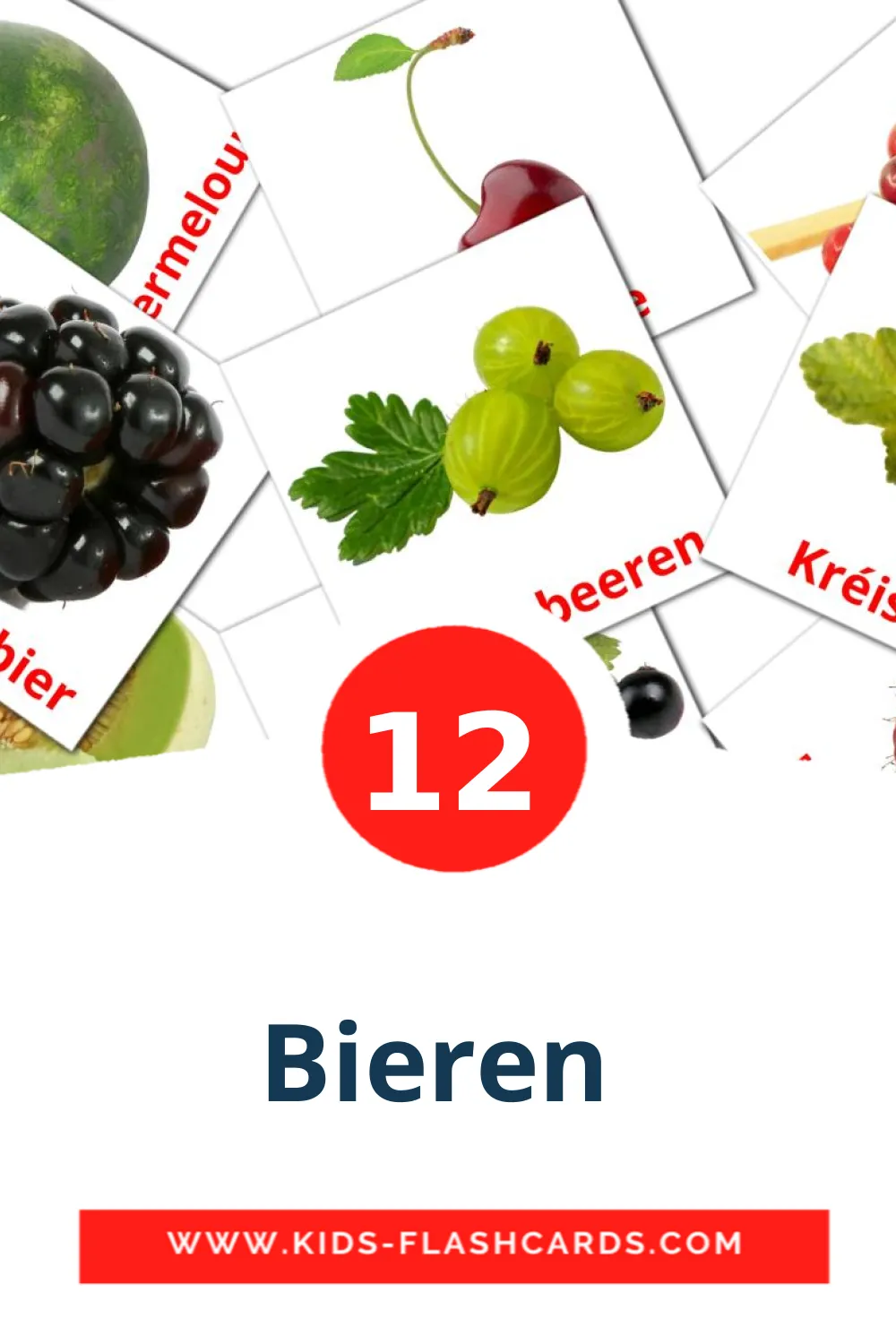 12 Bieren  fotokaarten voor kleuters in het luxemburgs