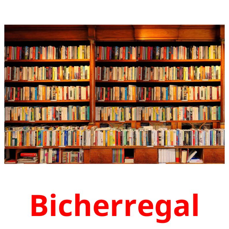 Bicherregal карточки энциклопедических знаний