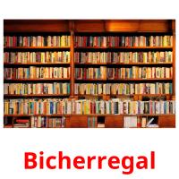 Bicherregal карточки энциклопедических знаний