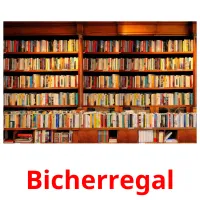 Bicherregal flashcards illustrate