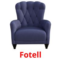 Fotell picture flashcards