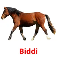 Biddi cartões com imagens