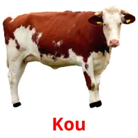 Kou cartões com imagens