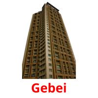Gebei picture flashcards
