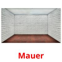Mauer picture flashcards