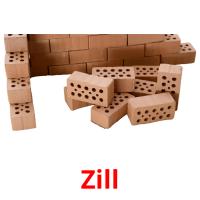 Zill picture flashcards