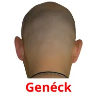 Genéck cartões com imagens