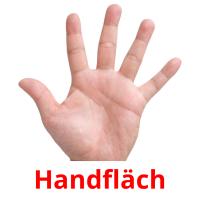 Handfläch picture flashcards
