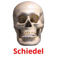 Schiedel picture flashcards