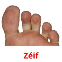 Zéif picture flashcards
