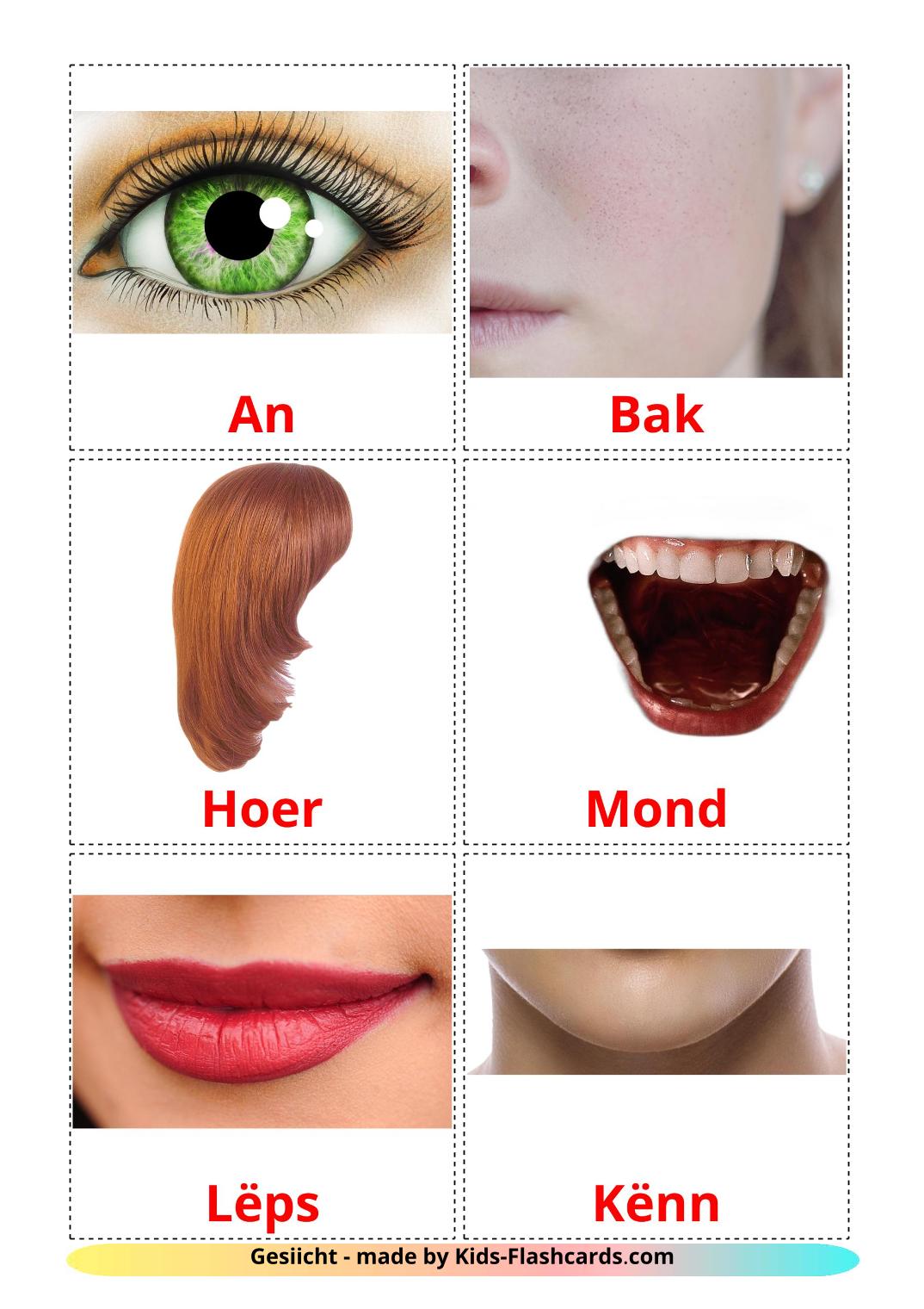 Face - 20 Free Printable luxembourgish Flashcards 