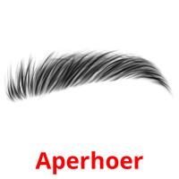 Aperhoer flashcards illustrate