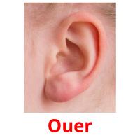 Ouer flashcards illustrate