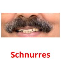 Schnurres picture flashcards