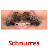 Schnurres cartes flash