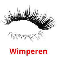 Wimperen cartes flash