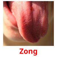 Zong flashcards illustrate