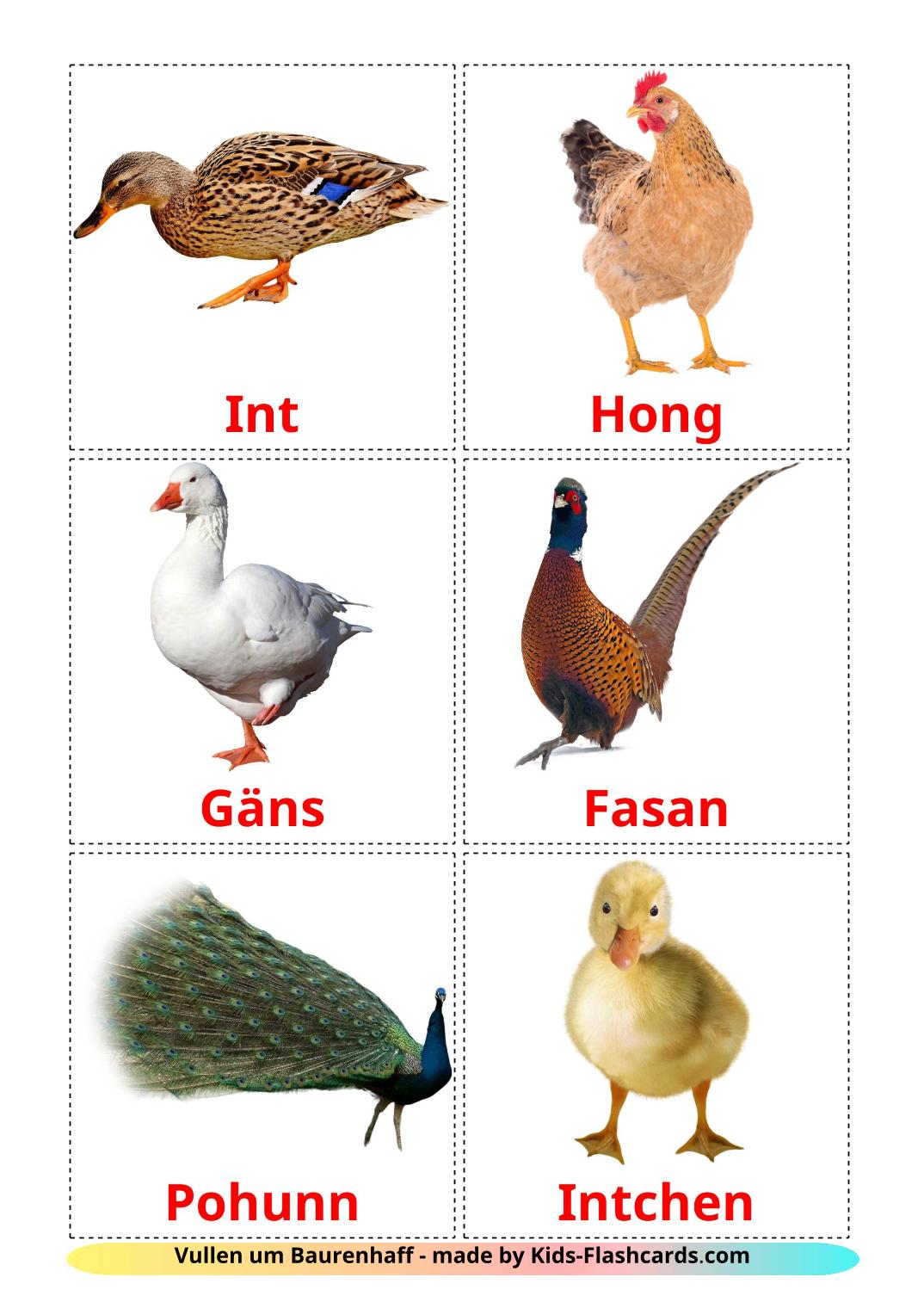 Farm birds - 11 Free Printable luxembourgish Flashcards 