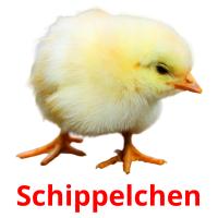 Schippelchen picture flashcards