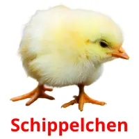 Schippelchen Bildkarteikarten