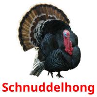 Schnuddelhong flashcards illustrate