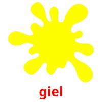 giel picture flashcards