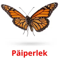 Päiperlek picture flashcards