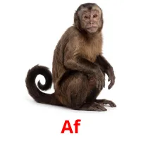 Af billedkort for børn med billeder