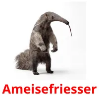 Ameisefriesser billedkort for børn med billeder