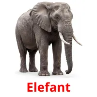 Elefant billedkort for børn med billeder