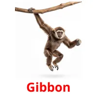 Gibbon billedkort for børn med billeder