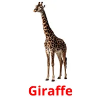 Giraffe billedkort for børn med billeder