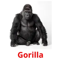 Gorilla billedkort for børn med billeder